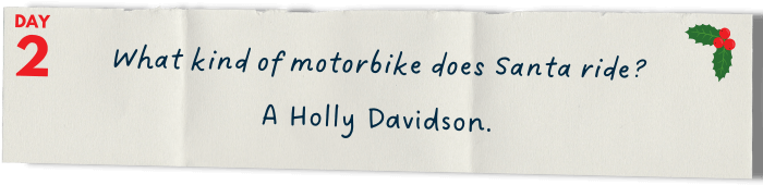 &nbsp; &nbsp; &nbsp; What kind of motorbike does Santa ride?  A Holly Davidson.