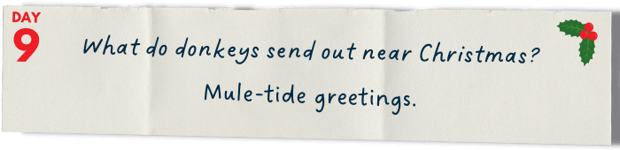 &nbsp; &nbsp; &nbsp; &nbsp;What do donkeys send out near Christmas?   Mule-tide greetings.