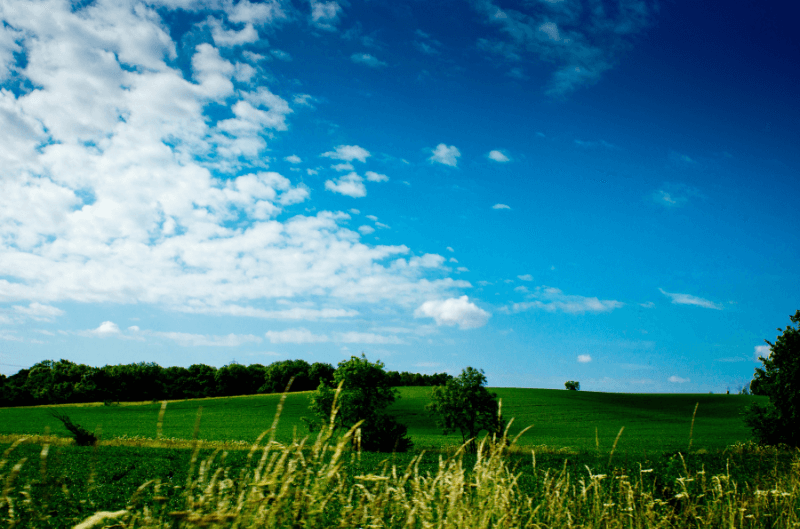 Cambridgeshire
