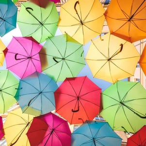 Financial year end  - equality diversity inclusion (1) (1)