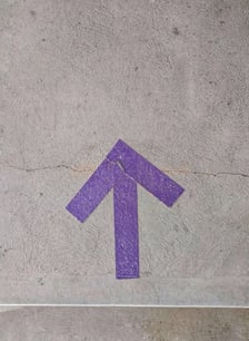 sigmund-mlPU2YwFOY8-unsplash