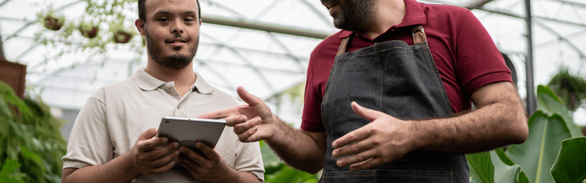 Hft- Learning disability allies