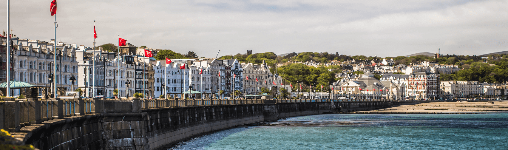 Douglas City Council